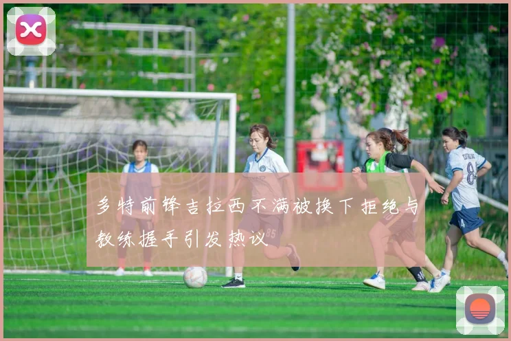 多特前锋吉拉西不满被换下拒绝与教练握手引发热议